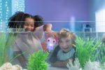 Animagic Let's Glo Axolotl Pink| Squishy Water Toy Floats and Glows | Ages 4+ - Image 4
