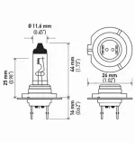 HELLA H7TB Standard Halogen Bulbs, 12 V, 55W - Image 3