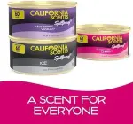 Can Air Freshener and Odor Neutralizer by California Scents, Stocking Stuffers, Set of 12 Spillproof Cans for Home and Car, Coronado Cherry, 1.5 Oz Each - Image 3