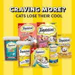 Temptations MixUps Surfer's Delight Flavor Crunchy and Soft Cat Treats, 16 oz. Tub - Image 2