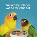 Kaytee Forti-Diet Pro Health Nourish+Protect Conure & Lovebird Food, Comprehensive Nutrition Backed by Science, Digestive Health, Immune Support, 4 pounds - Image 4