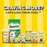 Temptations MixUps Catnip Fever Flavor Crunchy and Soft Cat Treats, 16 oz. Tub - Image 3