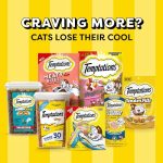 Temptations Classic Crunchy and Soft Cat Treats, Shrimpy Shrimp Flavor, 16 oz. Tub - Image 2