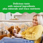 Greenies Pill Pockets for Dogs, Large Size Soft Dog Treats, Peanut Butter Flavor, 15.8 oz. Pouch - Image 3