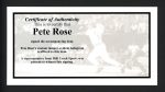 Pete Rose Autographed Blonde Official Bat Reds "4256" In Black PR Holo - Image 2