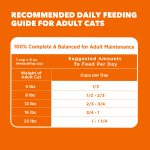 IAMS Proactive Health Adult Healthy Dry Cat Food with Chicken, 22 lb. Bag - Image 2