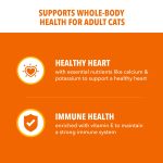 IAMS Proactive Health Adult Healthy Dry Cat Food with Chicken, 22 lb. Bag - Image 7