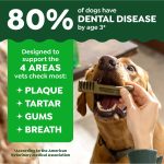 Greenies Veterinarian-Recommended Natural Dental Dog Treats, Large Size, Original Flavor, 36 oz. Pack, 24 Count - Image 8