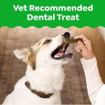 Greenies Veterinarian-Recommended Natural Dental Dog Treats, Large Size, Original Flavor, 36 oz. Pack, 24 Count - Image 9