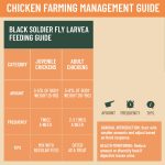 Joyprotyn 5LB Non-GMO Dried Black Soldier Fly Larvae for Chicken – 85X More Calcium Grubs Than Mealworms for Strong Eggshells & Healthy Growth - High Protein for Chickens, Birds, Ducks, Geese & Pets - Image 3