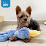 Best Pet Supplies Interactive Squeaky Dog Chew Toy, Ideal Dog Toys for Chewers, Small, Medium & Large Dogs, and Fetch Lovers - Crinkle Duck (Yellow), Large - Image 2