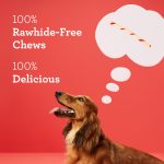 DreamBone Twist Sticks, Made With Real Chicken, Rawhide-Free Chews for Dogs, 50 Count - Image 10
