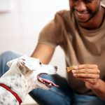 Milk-Bone Mini's Flavor Snacks Dog Treats, 36 Ounce - Image 4