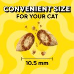 Temptations Classic Crunchy and Soft Cat Treats, Shrimpy Shrimp Flavor, 16 oz. Tub - Image 5