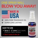 Scent Bomb Air Freshener Spray, Long-Lasting Odor Eliminator - Effective Deodorizer for Home & Car, Fresh Room Spray for Kitchen, Bathroom & Smell Neutralizer - 1 oz Pack of 4, Black Cherry Scent - Image 5