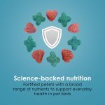 Kaytee Forti-Diet Pro Health Nourish+Protect Conure & Lovebird Food, Comprehensive Nutrition Backed by Science, Digestive Health, Immune Support, 4 pounds - Image 8