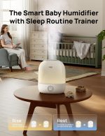 DREO Humidifier 409S, Humidifiers for Bedroom Baby, Ultra Quiet 28dB & 3L Top Fill Cool Mist Humidifier for Nursery, Smart Air humidifier for Plants, 1500+ RGB Night Light & Sleep Routine Trainer (Renewed) - Image 7
