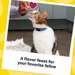 Temptations MixUps Catnip Fever Flavor Crunchy and Soft Cat Treats, 16 oz. Tub - Image 5