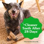 Greenies Veterinarian-Recommended Natural Dental Dog Treats, Large Size, Original Flavor, 36 oz. Pack, 24 Count - Image 7