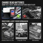 1.75-Amp Car Battery Charger, 6V and 12V Smart Fully Automatic Battery Charger Maintainer, Trickle Charger, Battery Desulfator for Car, Lawn Mower, Motorcycle, Boat, Marine Lead Acid Batteries - Image 8