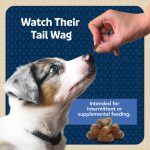 Blue Buffalo Bits Soft Dog Treats for Training, Made with Natural Ingredients & Enhanced with DHA, Chicken Recipe, 19-oz Bag - Image 4