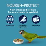 Kaytee Forti-Diet Pro Health Nourish+Protect Conure & Lovebird Food, Comprehensive Nutrition Backed by Science, Digestive Health, Immune Support, 4 pounds - Image 12