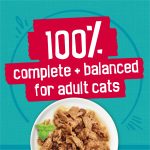 Purina Friskies Wet Cat Food Variety Pack, Tasty Treasures Prime Filets (With Ocean Fish and Tuna, With Chicken and With Turkey) - 5.5 Ounce (Pack of 12) - Image 8