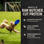 Vital Essentials Single Ingredient Beef Liver Dog Treats, 2.1 oz | Freeze-Dried Raw | Premium Quality High Protein Training Treats | Grain Free, Gluten Free, Filler Free - Image 6