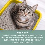 Purina Tidy Cats Free and Clean Unscented Cat Litter - 38 lb. Box - Image 9
