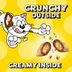 Temptations Classic Crunchy and Soft Cat Treats, Shrimpy Shrimp Flavor, 16 oz. Tub - Image 9