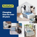 PetSafe ScoopFree Premium Crystal Cat Litter - Outperforms Clay Litter - Refill Packs - Reusable Tray Compatible - Fresh Scent - 4.3 lb Bags - 2 Pack - Image 4