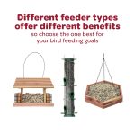Kaytee All American Wild Bird Food Seed Blend, 5 Pound - Image 11