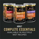 Purina Pro Plan Complete Essentials Shredded Blend Chicken and Rice Dog Food Dry Formula with Probiotics for Dogs - 35 lb. Bag - Image 5