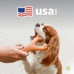 Benebone Wishbone Durable Dog Chew Toy for Aggressive Chewers, Real Bacon, Made in USA, Medium - Image 3