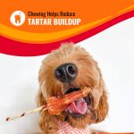 Good ‘n’ Fun Triple Flavor Kabobs Chews for All Dogs, 24 Ounces, Treat Your Dog to Chews Made from Beef Hide, Real Chicken, Pork Hide, Duck and Chicken Liver - Image 12
