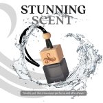Greed Car Air Freshener for Men | Aventos Perfume Inspired Fragrances | Strong Car Freshener with Odour Eliminator Technology | Creed Air Freshener | Long Lasting Automotive Freshener by Perfa - Image 7