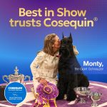 Nutramax Cosequin for Dogs Joint Health Supplement, Contains Glucosamine for Dogs, Plus Chondroitin and MSM, Supports Healthy Joints, For All Breeds and Sizes, Chewable Tablets, 132 Count - Image 5