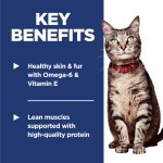 Hill's Science Diet Adult 1-6, Adult 1-6 Premium Nutrition, Dry Cat Food, Chicken Recipe, 4 lb Bag - Image 13